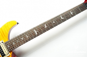SE Custom 24 - VY